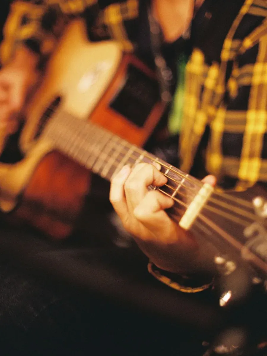 Musica ao vivo